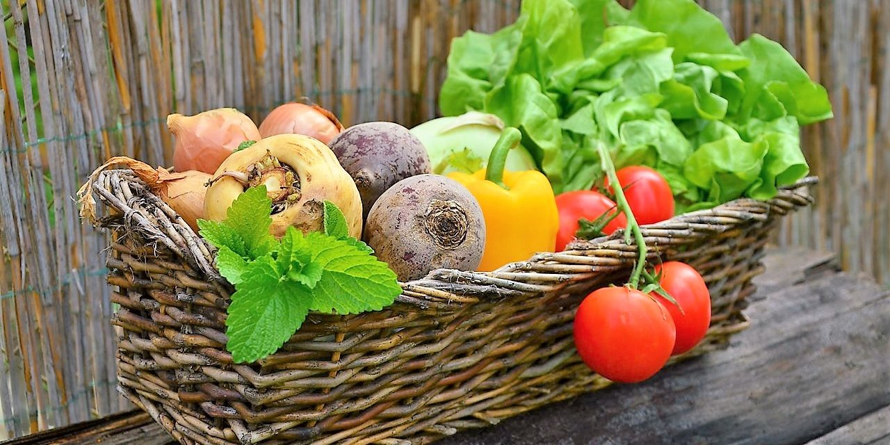 Dieta dr Dąbrowskiej - jak minął pierwszy tydzień?