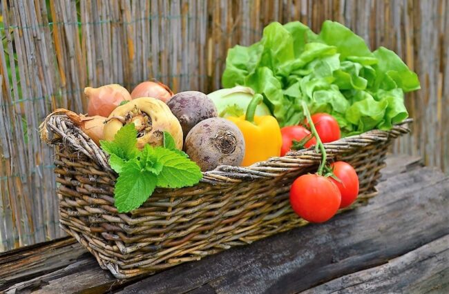 Dieta dr Dąbrowskiej - jak minął pierwszy tydzień?