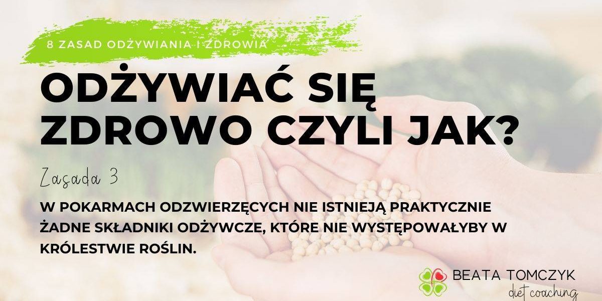 Odżywiać się zdrowo czyli jak? 8 zasad odżywiania i zdrowia